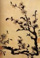 Shitao flowery branch 1707 old China ink
